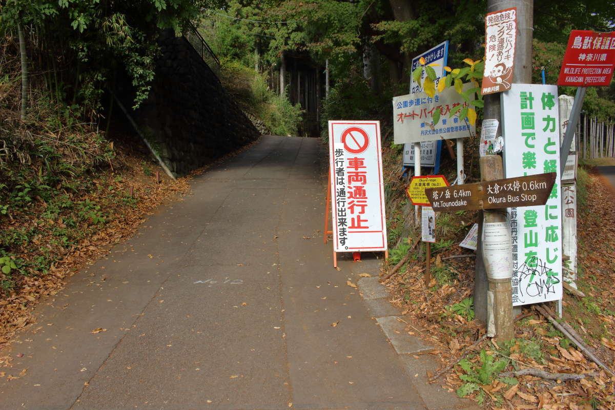 登山道までしばらくは車道を歩きます