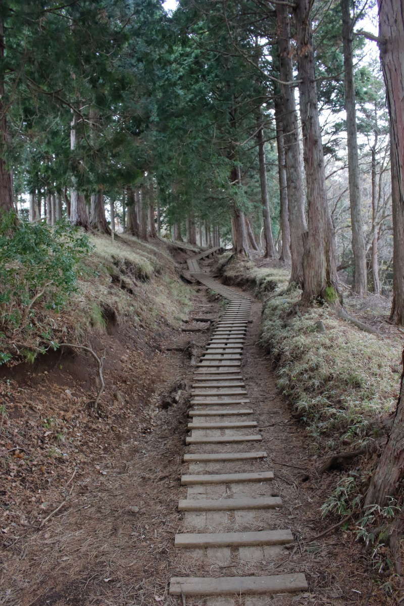 木道が整備されている箇所もかなりあります