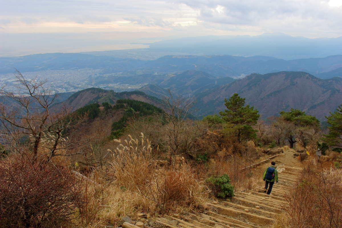 花立山荘あたりは大倉尾根でも珍しい視界が開けたところ