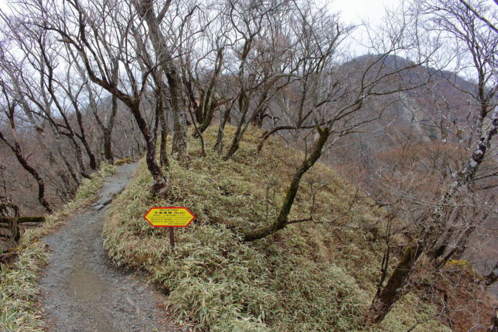 塔ノ岳山頂へ向けてラストスパート！