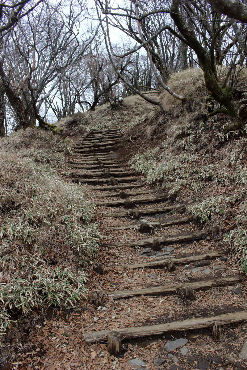 塔ノ岳山頂直下の急登！ といっても階段なので危険はありません