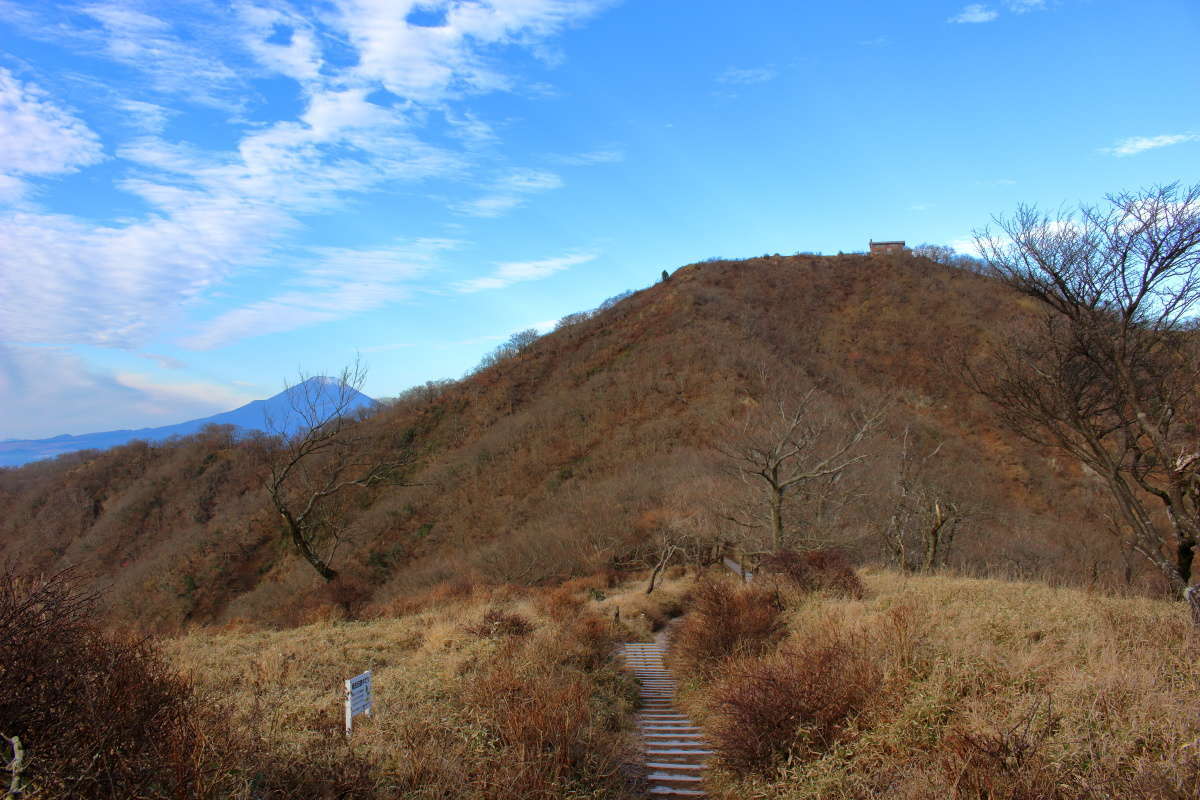 振り返ると塔ノ岳と、昨晩お世話になった尊仏山荘が見えました