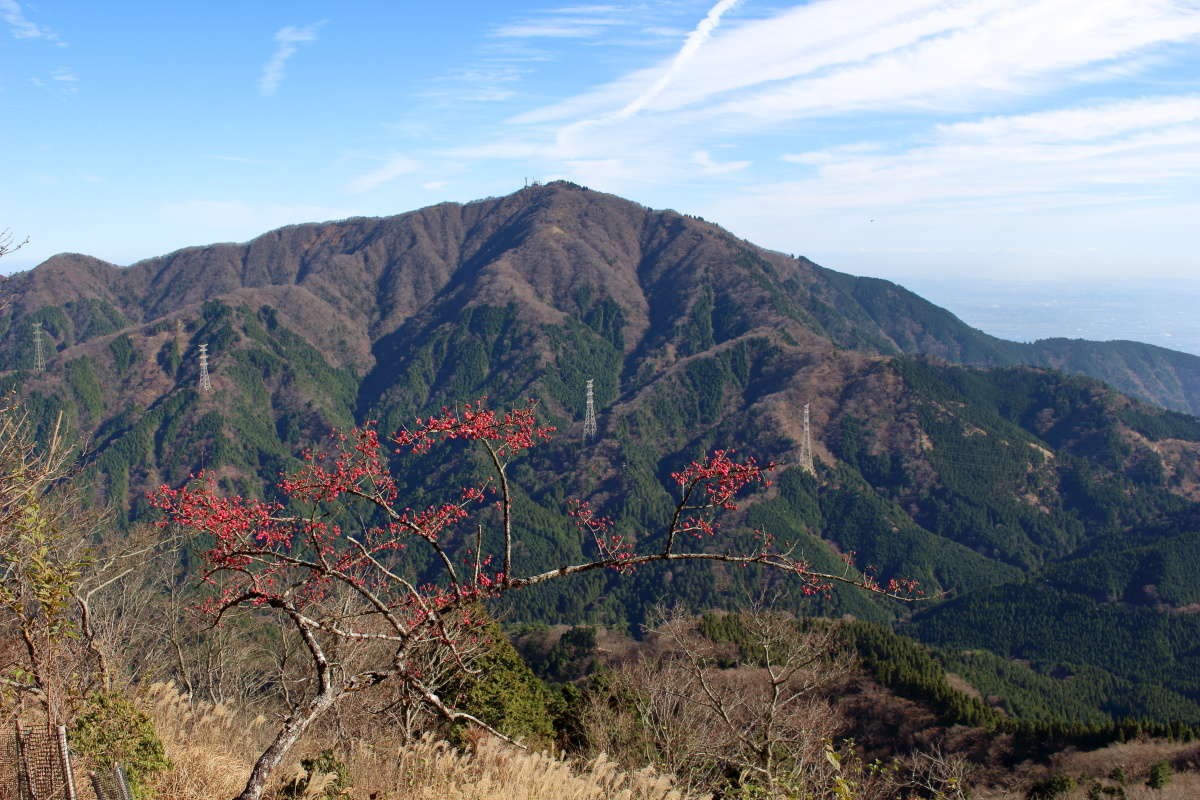 正面には大山！