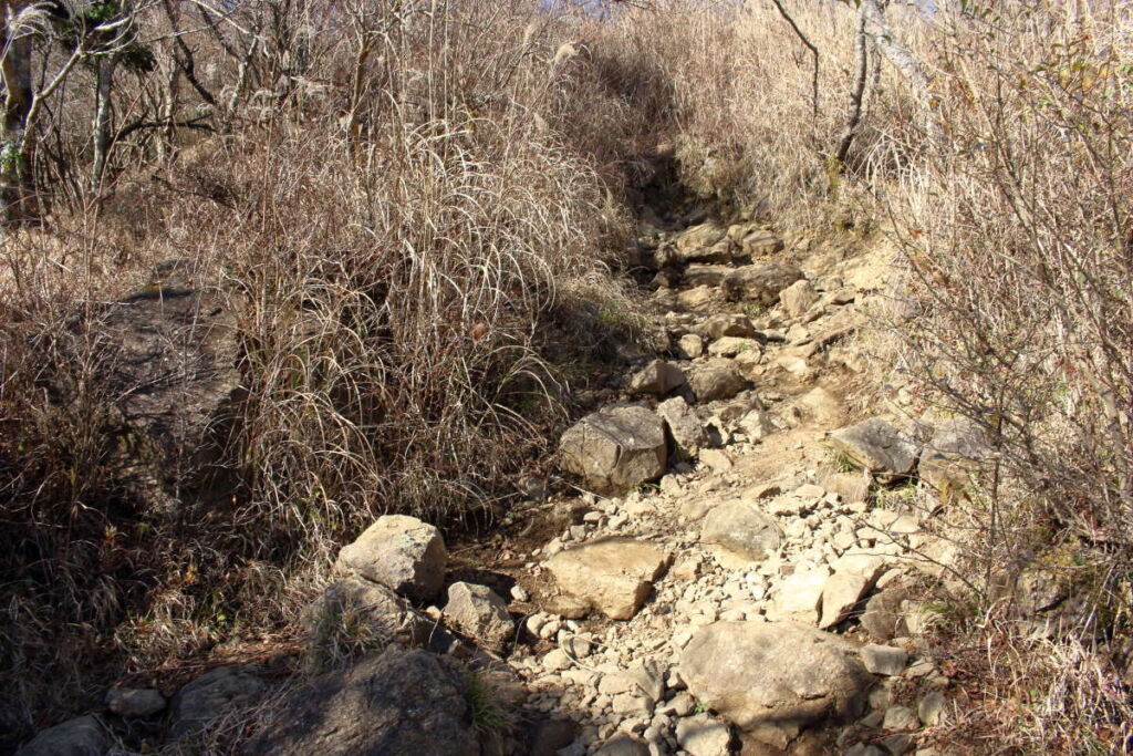階段だけでなく石が多い登山道もあります
