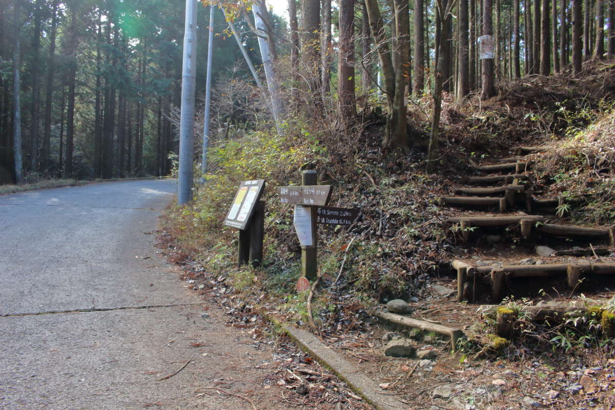 車道に面した登山口に到着、ここからヤビツ峠までは車道歩きです