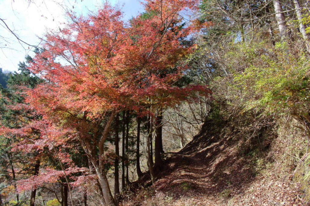 蓑毛バス停への道は整備されていて歩きやすい！