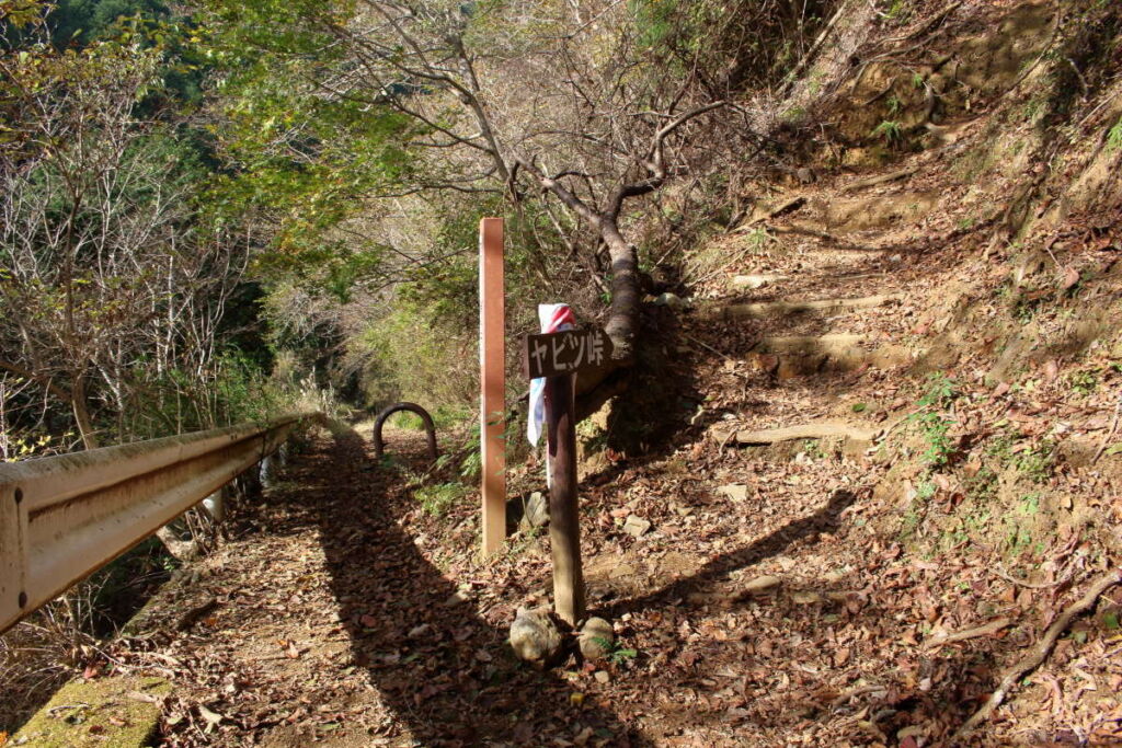 30分ほどで山道は終わり、歩道のような道へ