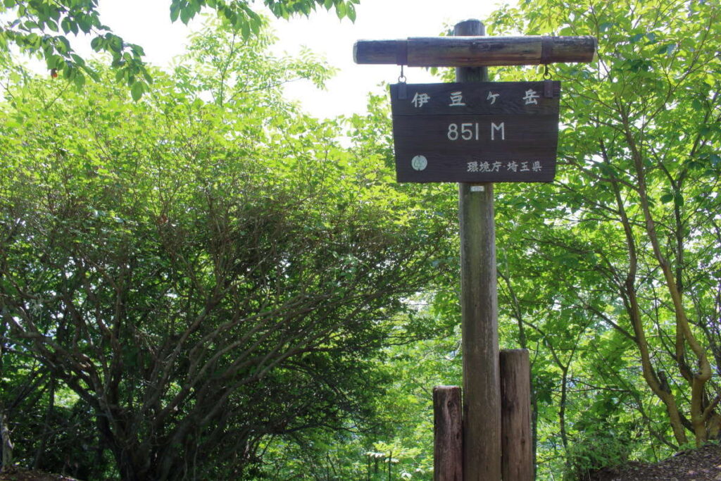 伊豆ヶ岳の山頂