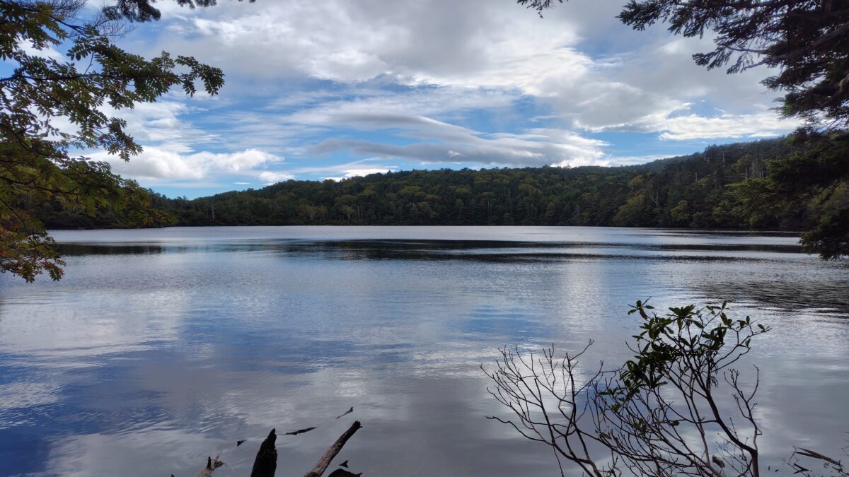 青空は見えるもののやや風が強い白駒池