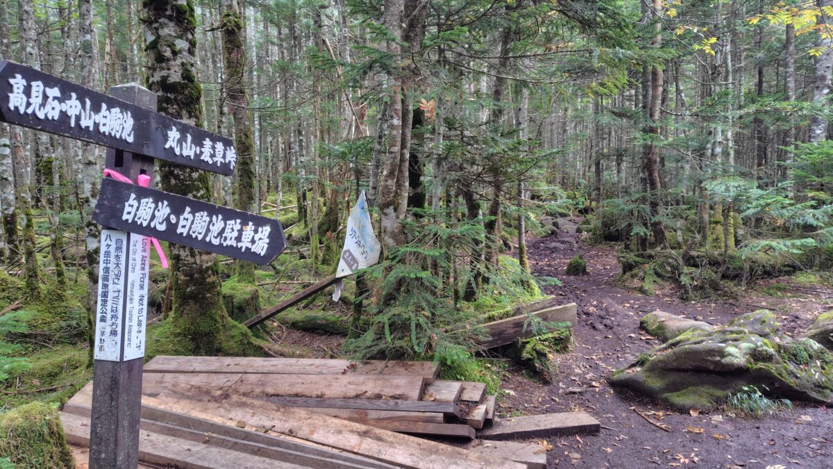 丸山を経由して麦草峠に下ります