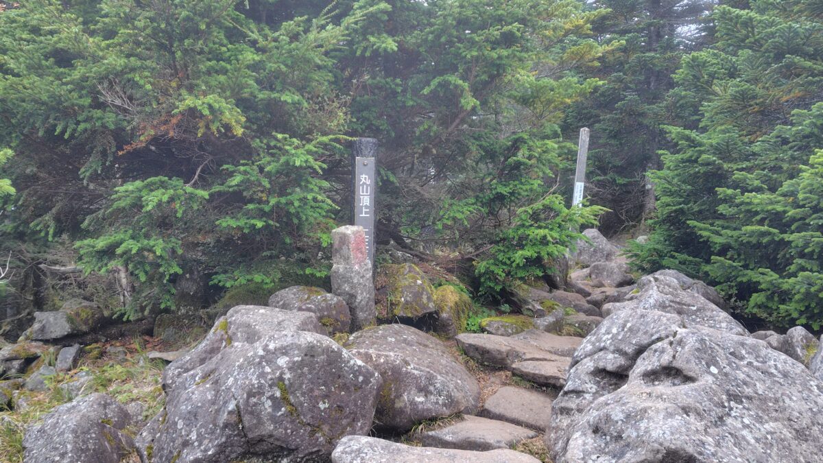 眺望のない丸山の山頂