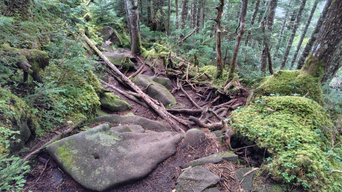 急な下りが続く丸山山頂下