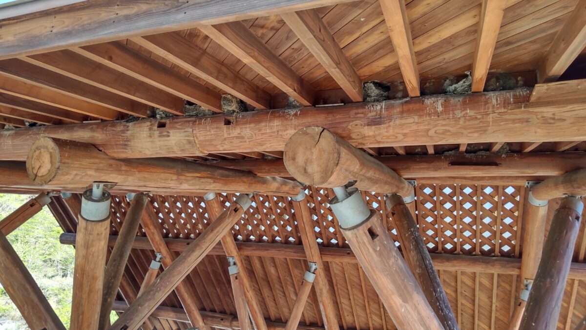 ツバメの巣がたくさんある奥多摩湖畔の東屋の屋根