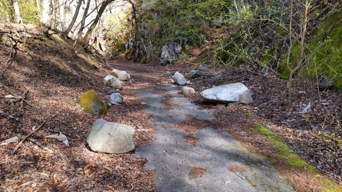 落石の跡がいたるところで見られる米背負峠からの林道