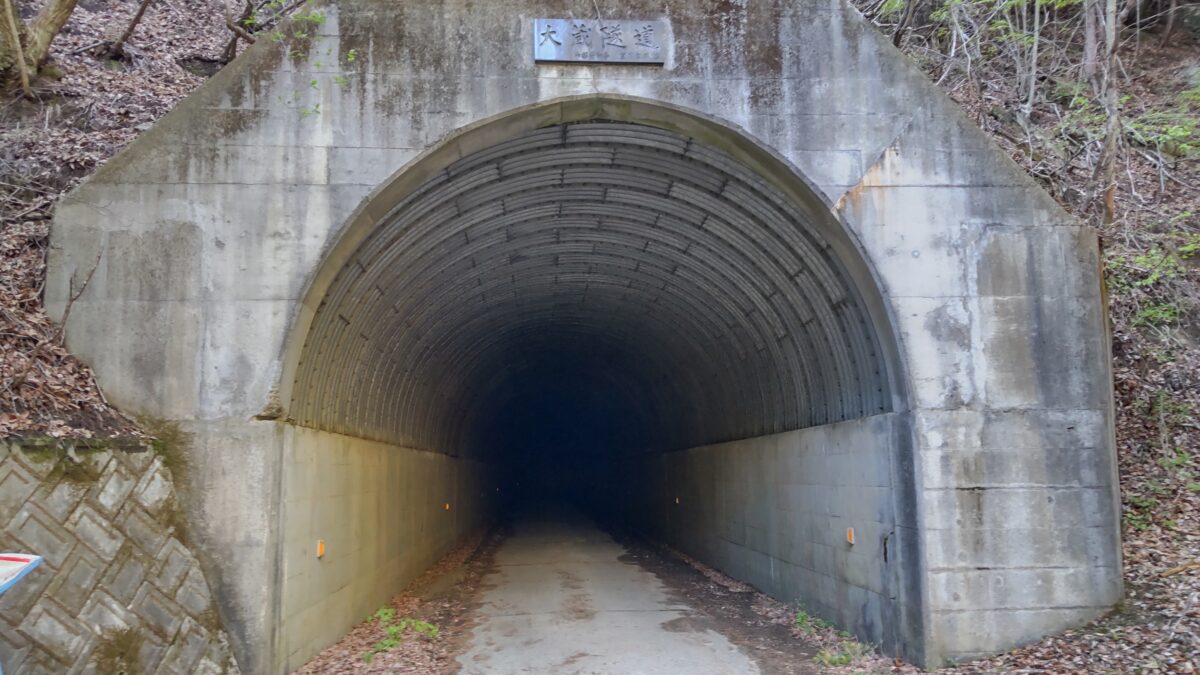 米背負峠からの林道にあるトンネル