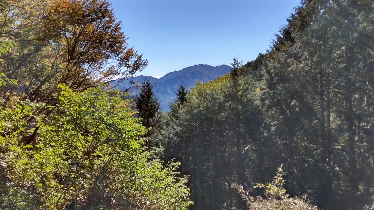 鴨沢ルート登山道からのわずかな眺望