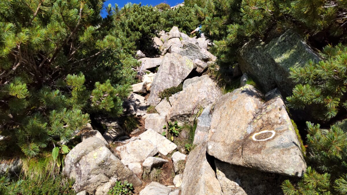 大きな岩がゴロゴロしているザイテングラートの登山道