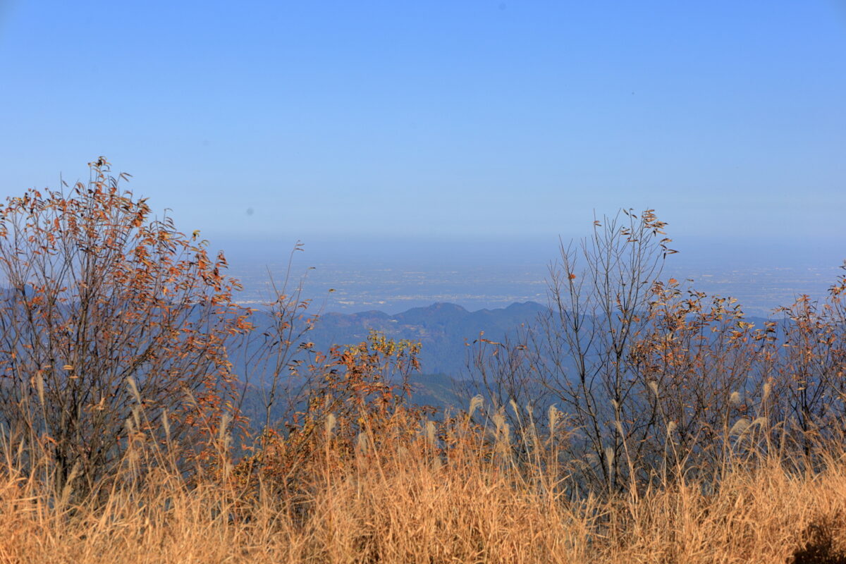 棒ノ嶺山頂からの関東平野の眺め