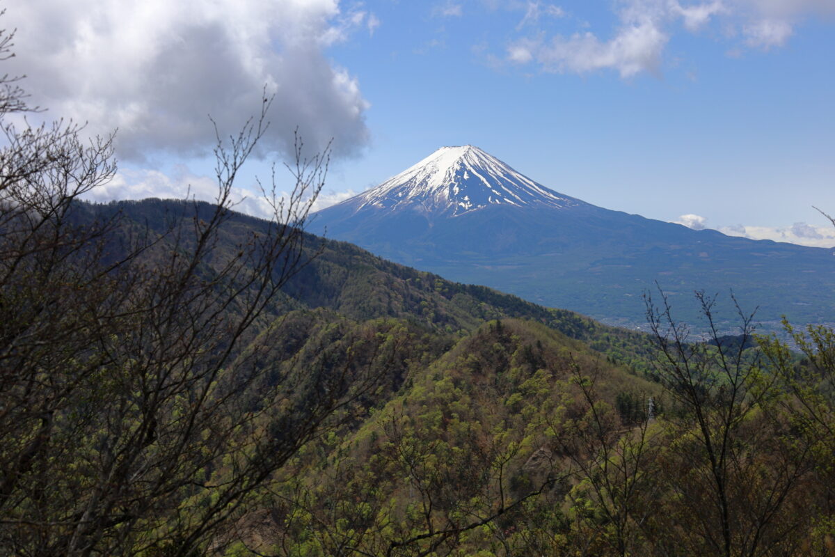 本社ヶ丸～清八峠の稜線からの富士山の眺め