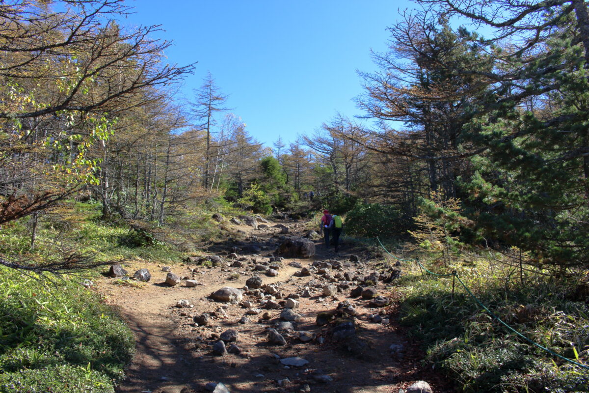 浅間山外輪山への表コースの登山道