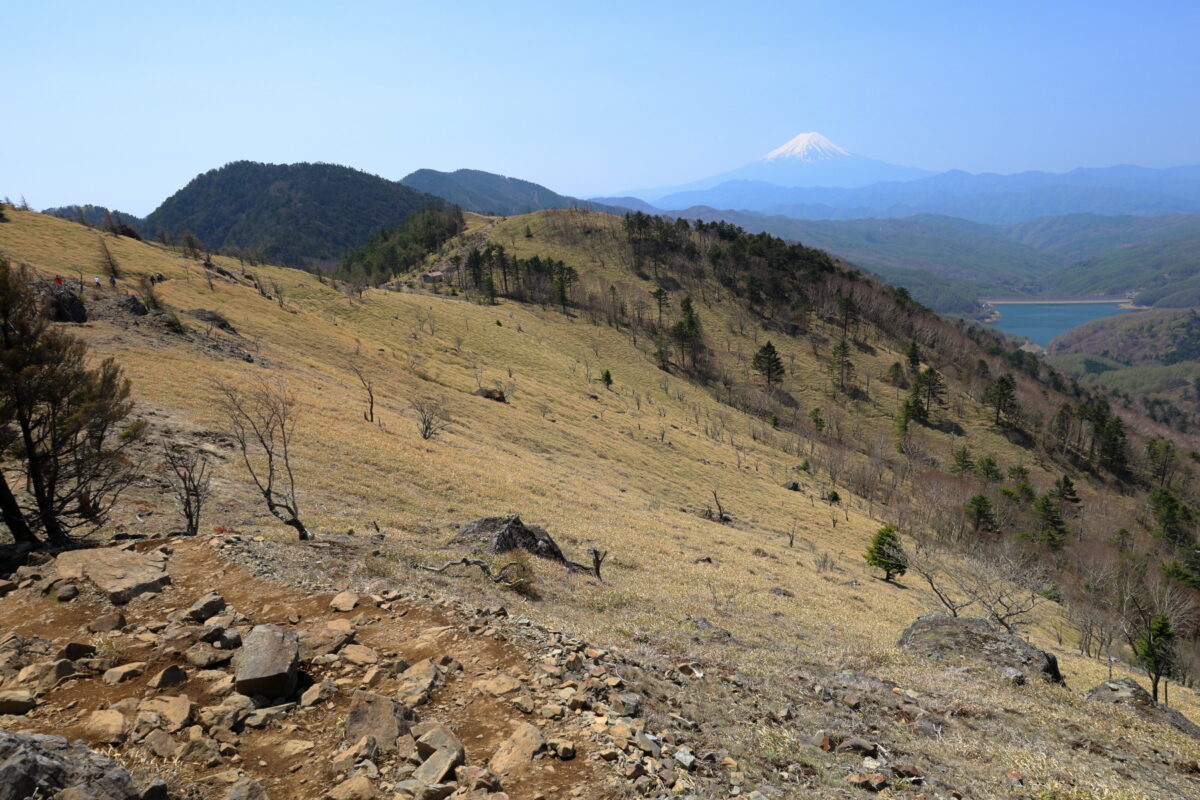 大菩薩峠への稜線と富士山の眺め