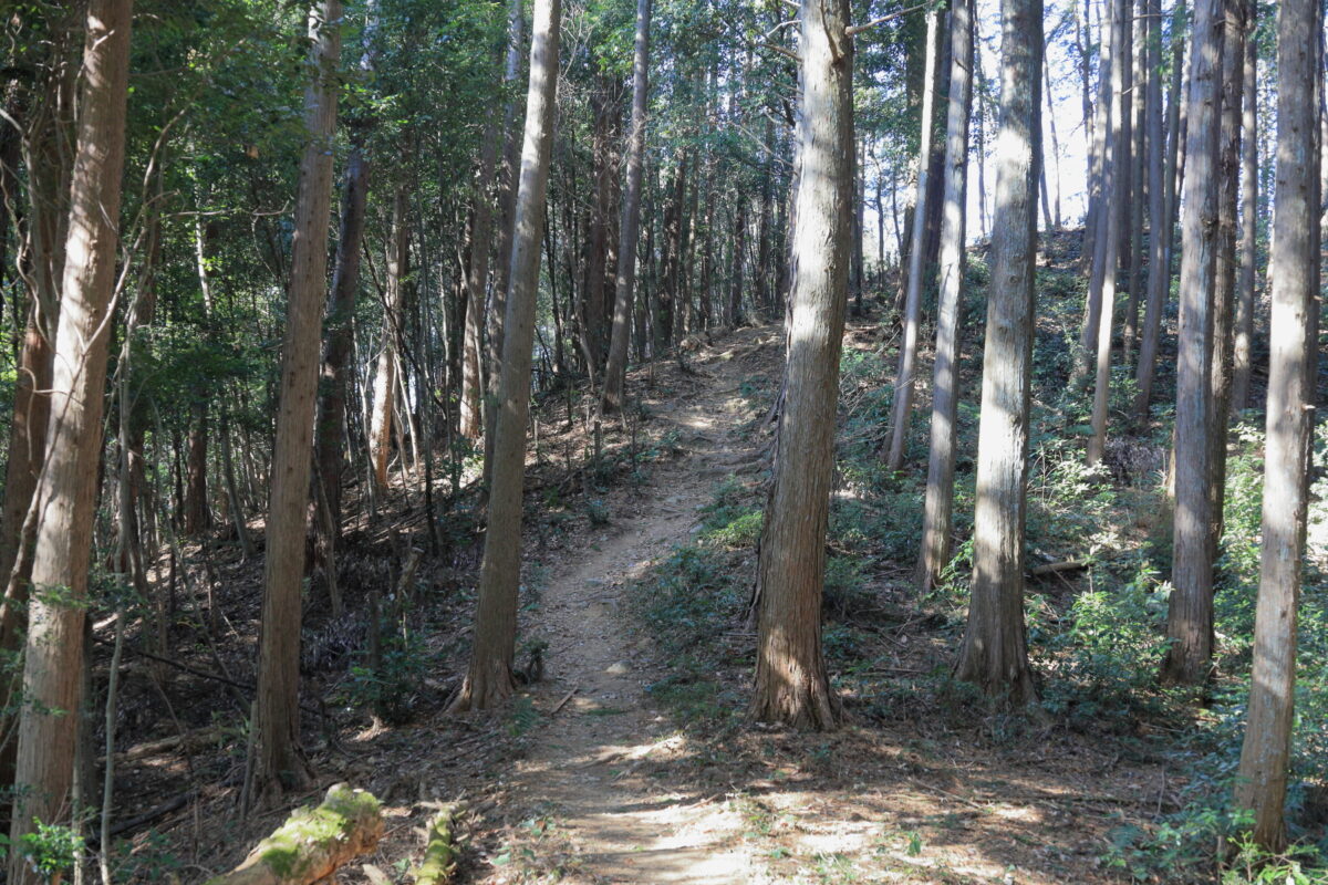 久須美坂からの登り