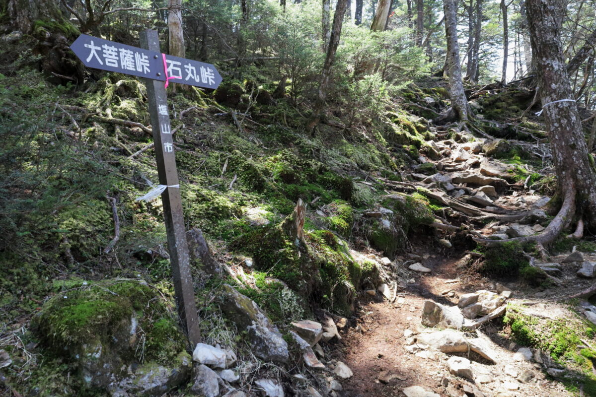 石丸峠へと続く熊沢山の登山道