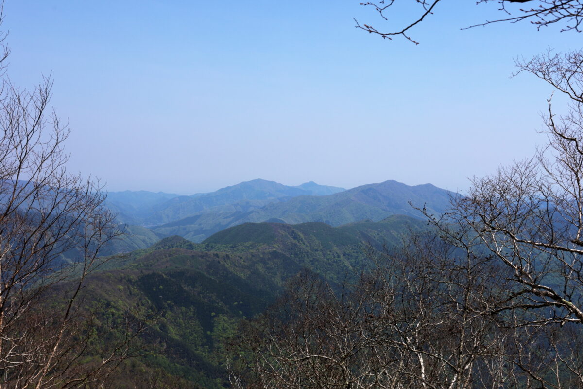 登山道から眺める奥多摩三山