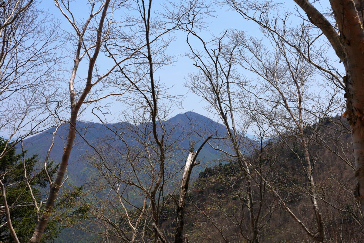 登山道の南側に見える雁ヶ腹摺山