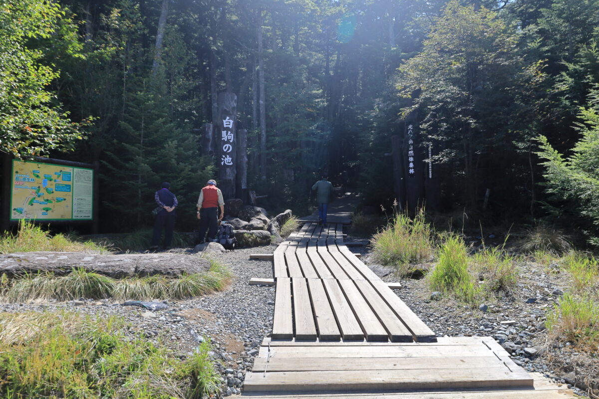 白駒池への遊歩道の入口