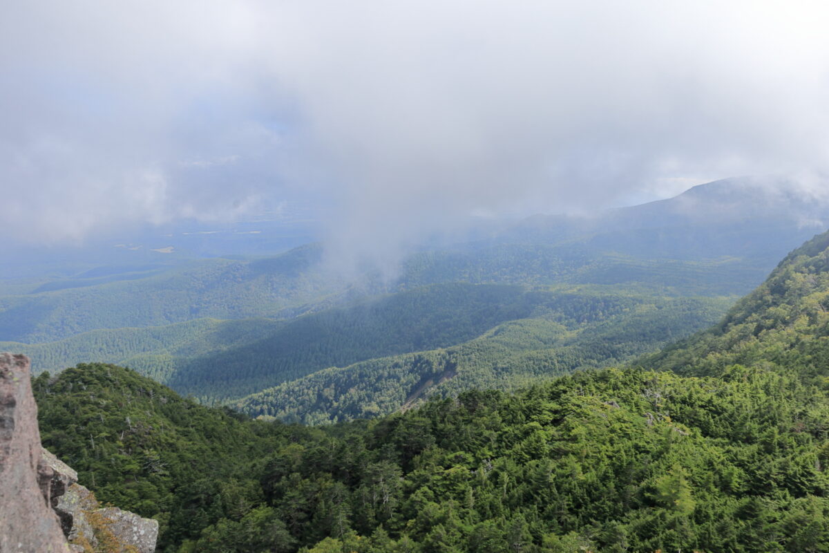 にゅう山頂から眺める穏やかな森