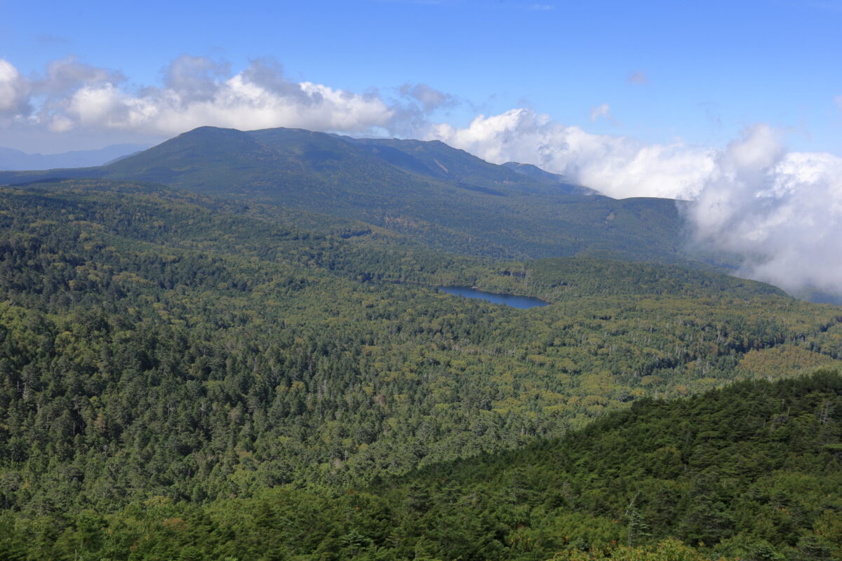 にゅう山頂からの白駒池や北横岳の眺め