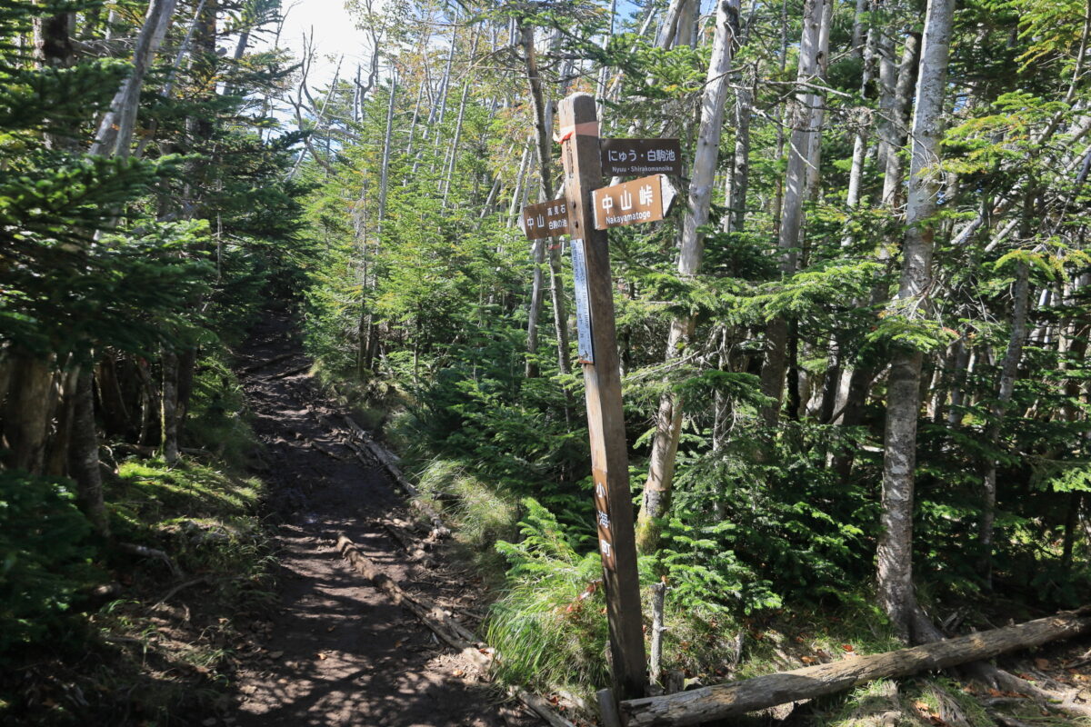 中山展望台・中山峠の分岐