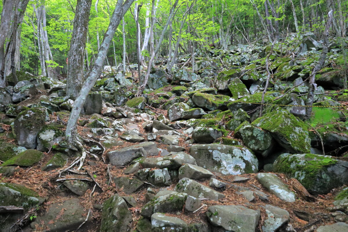 苔むした岩がゴロゴロする乾徳山の登山道