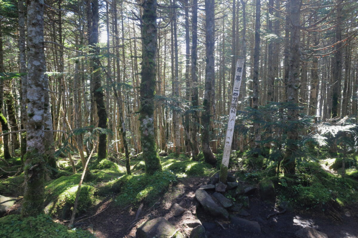 眺望はない中山の山頂