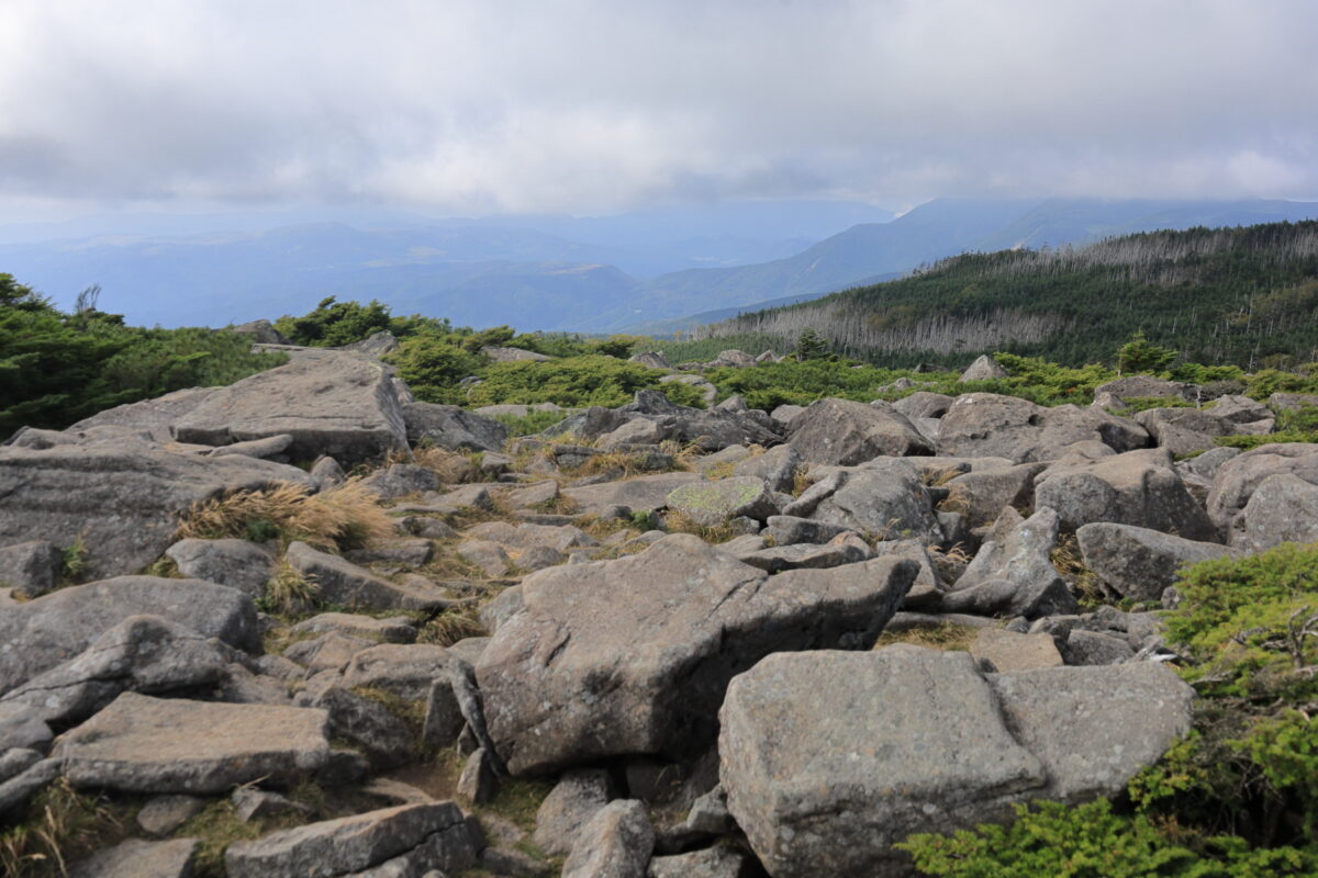 広々とした中山展望台