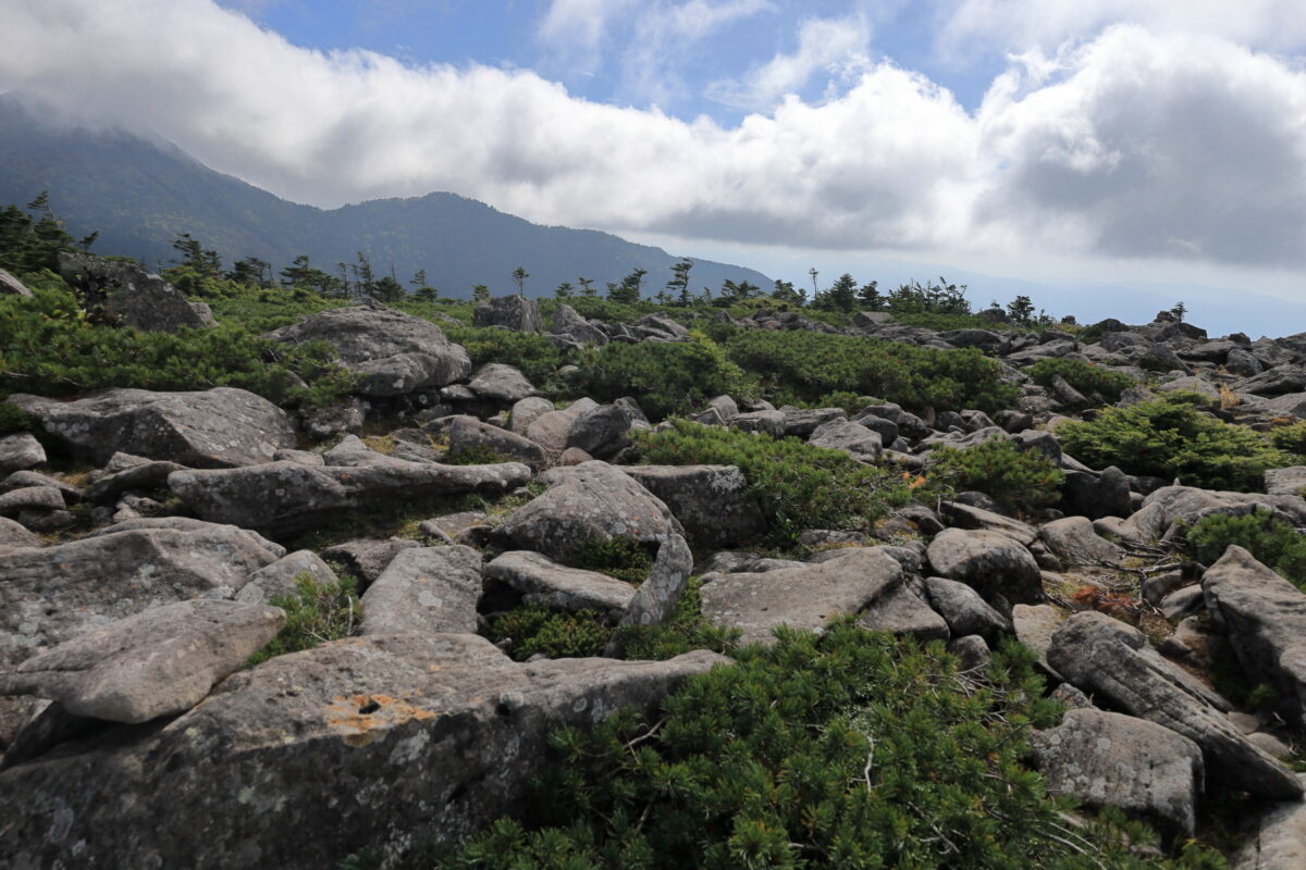気持ちの良く開けた中山展望台