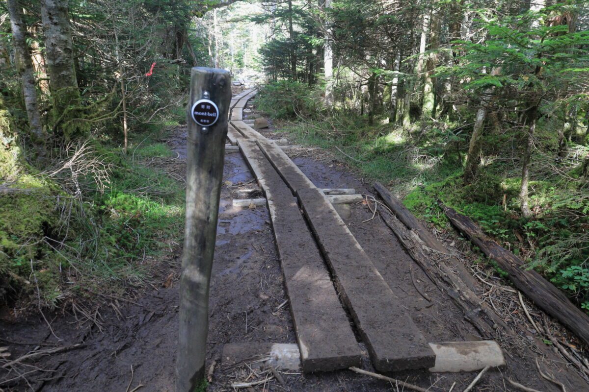 中山展望台から高見石に向かう途中にあるモンベル寄付の木道