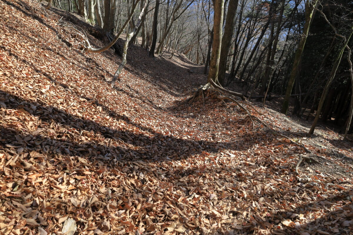 落ち葉で登山道が埋め尽くされた石尾根の下り