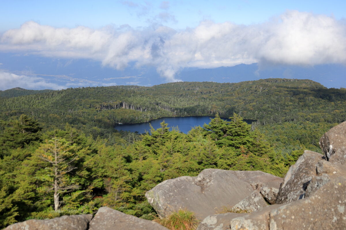 高見石から眺める白駒池