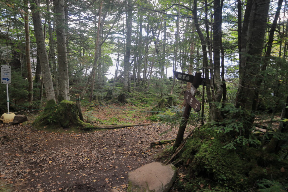 南ルートを下りきると白駒池のほとりへ