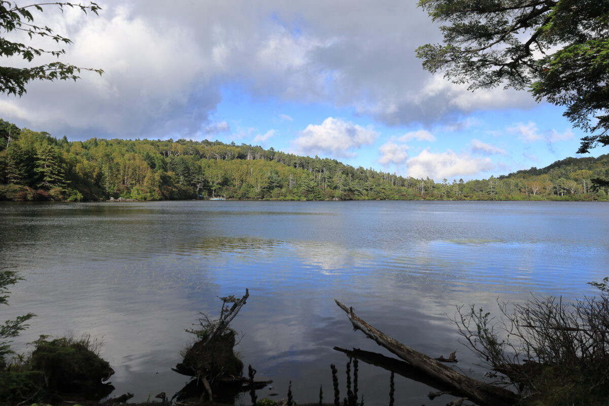 白駒荘近くからの白駒池の眺め