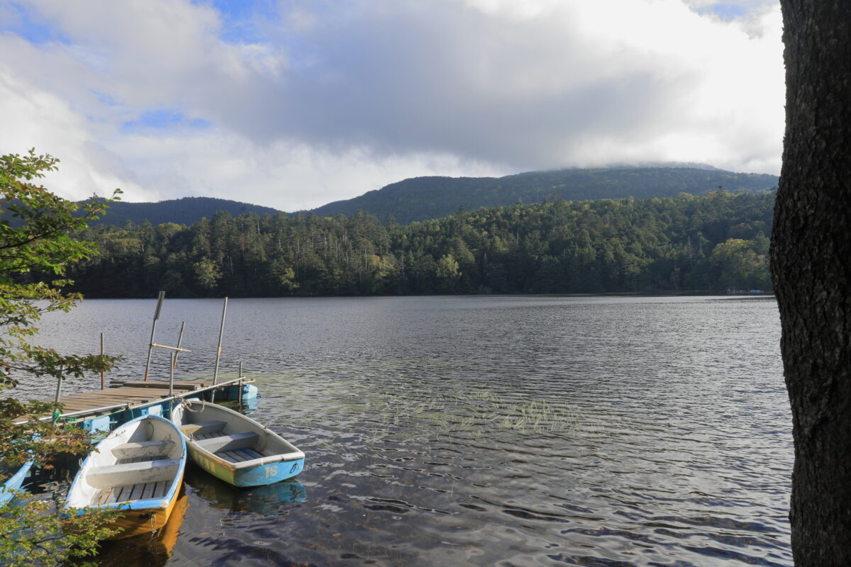 青苔荘ボート乗り場からの白駒池の眺め