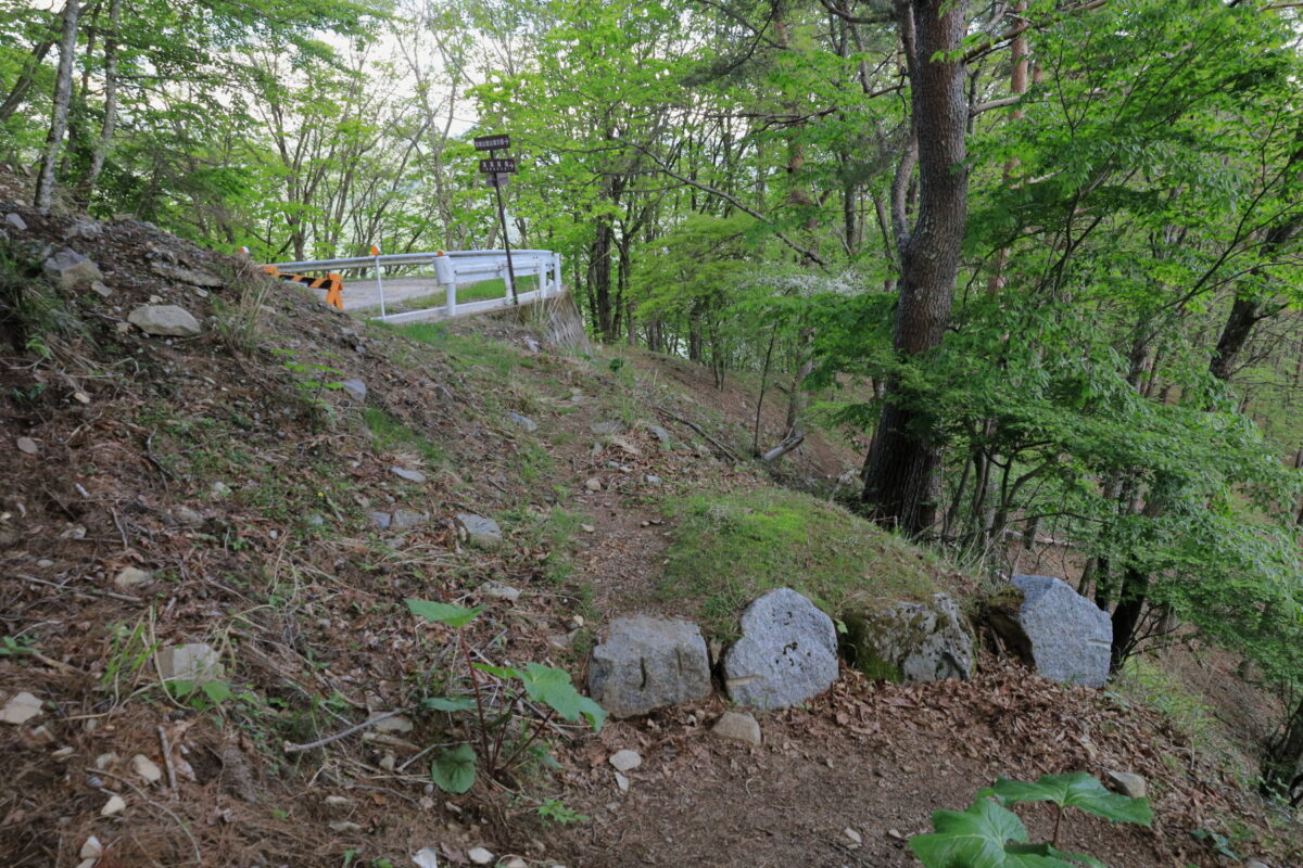 林道の近くを通る道満尾根の登山道