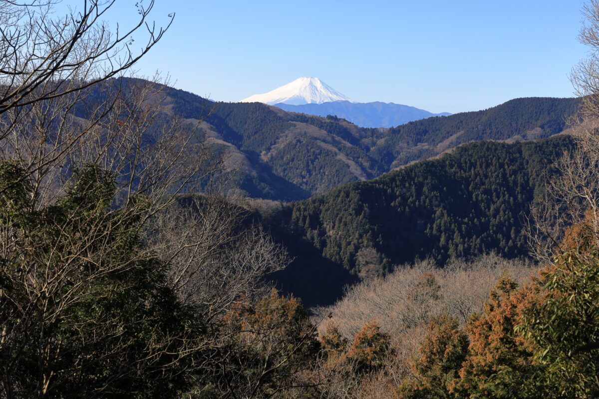 富士見台からの富士山の眺め