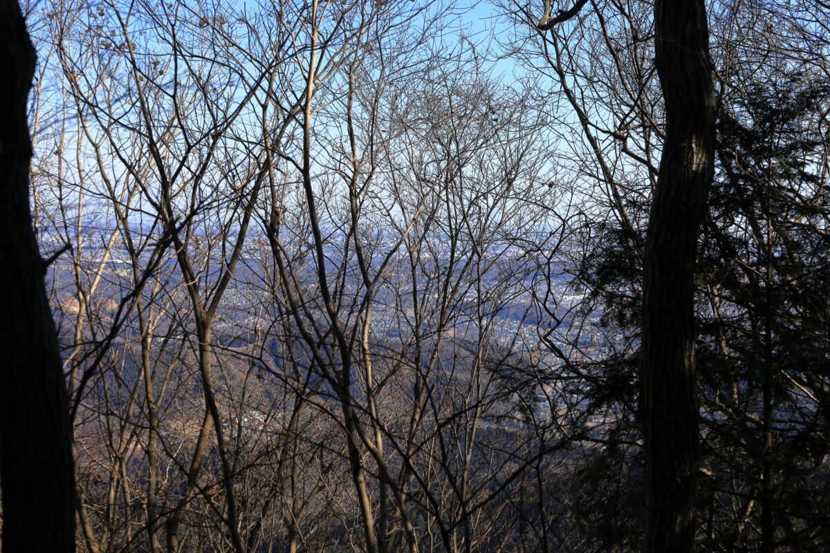 「杉ノ丸」のピークからの関東平野の眺め