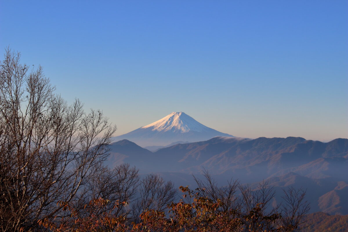 早朝の雲取山から眺める富士山