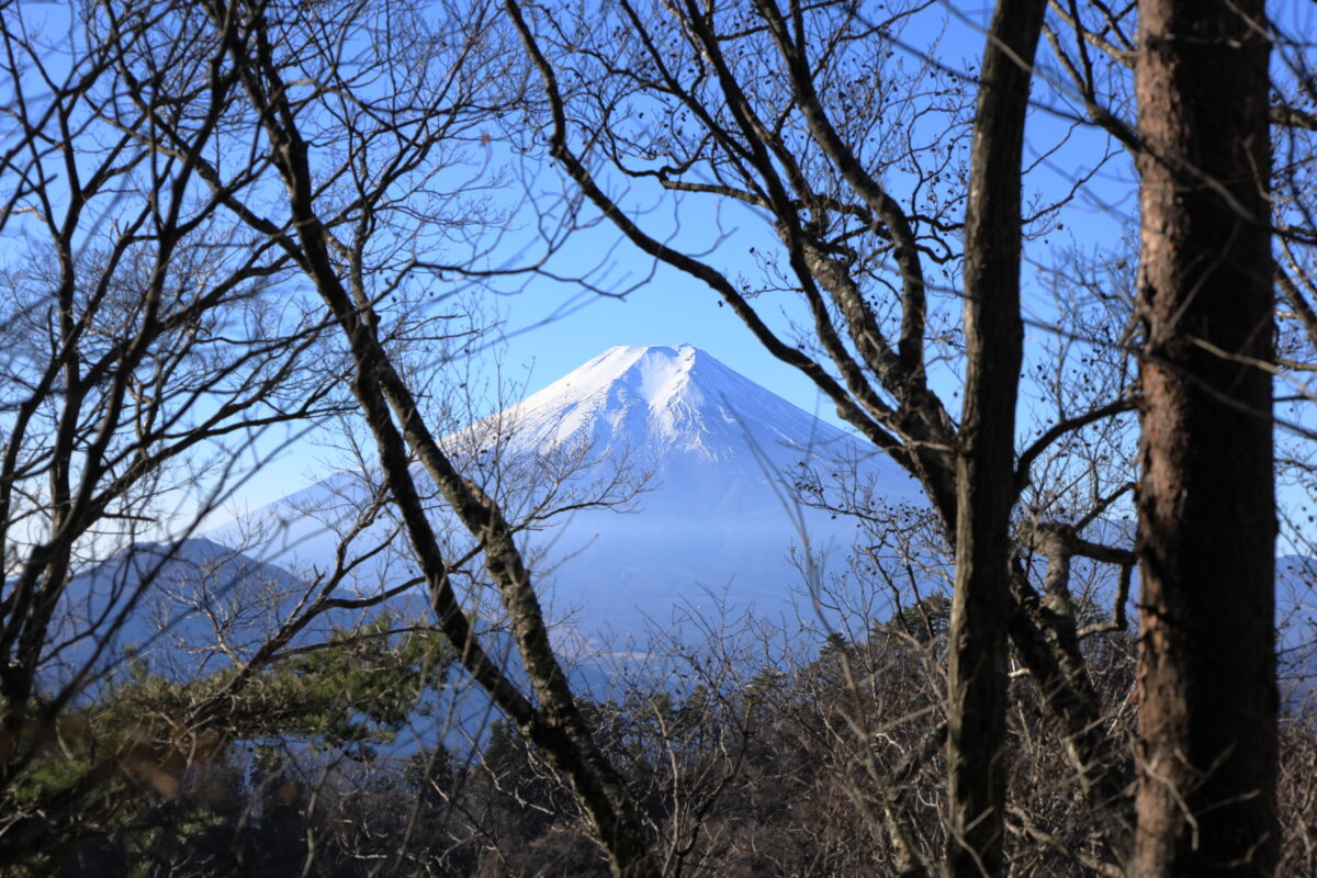 高川山山頂近くの登山道から富士山を望む