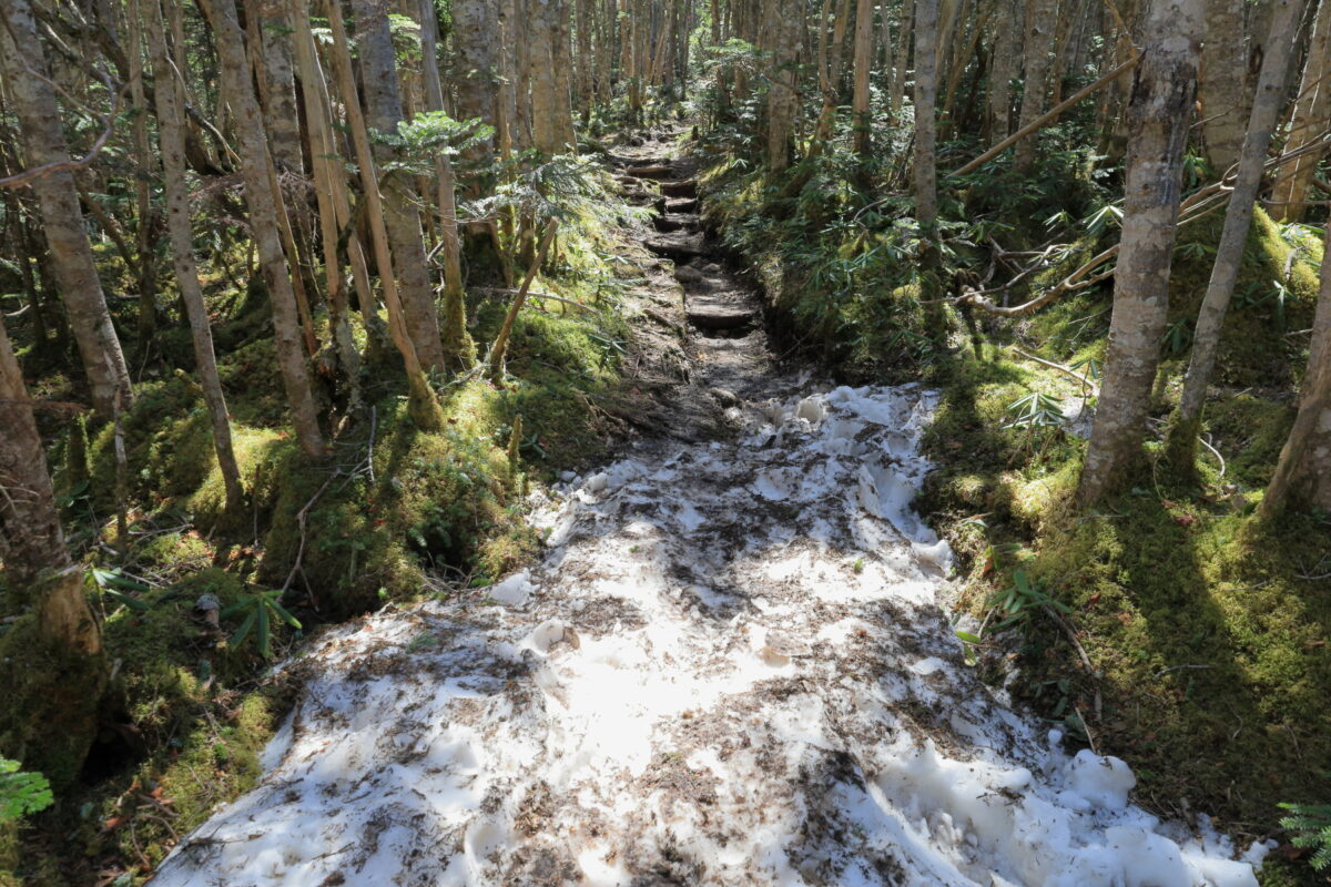 わずかに雪が残る木賊山近くの登山道