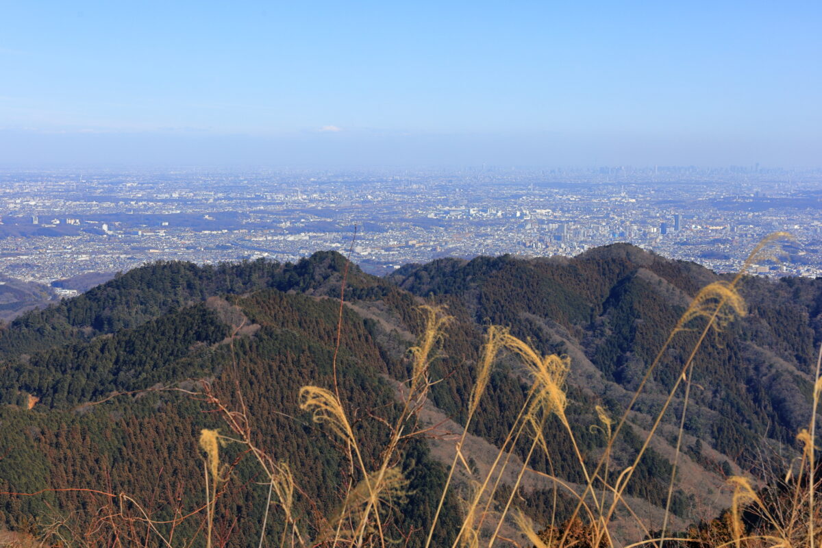 景信山山頂からの都心方面の眺望